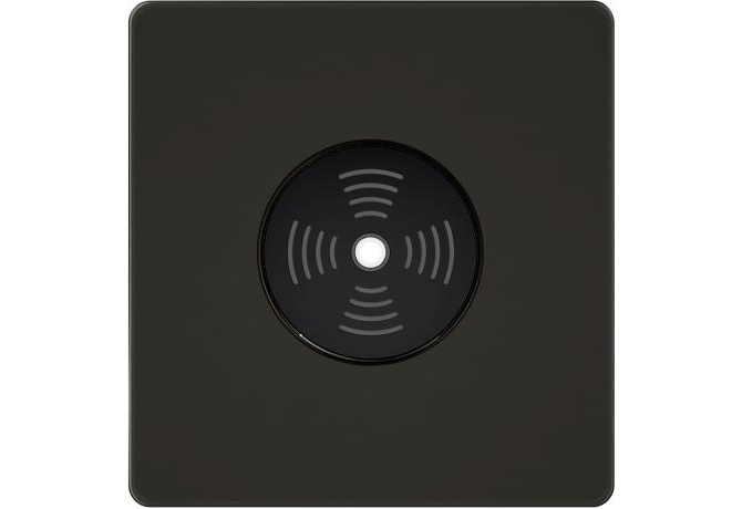 Звуковой выключатель с таймером Systeme Electric Infinity, Полярная ночь, FSE001094