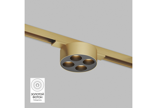Светильник на шине Denkirs SHINE GRILL DK5772-SB