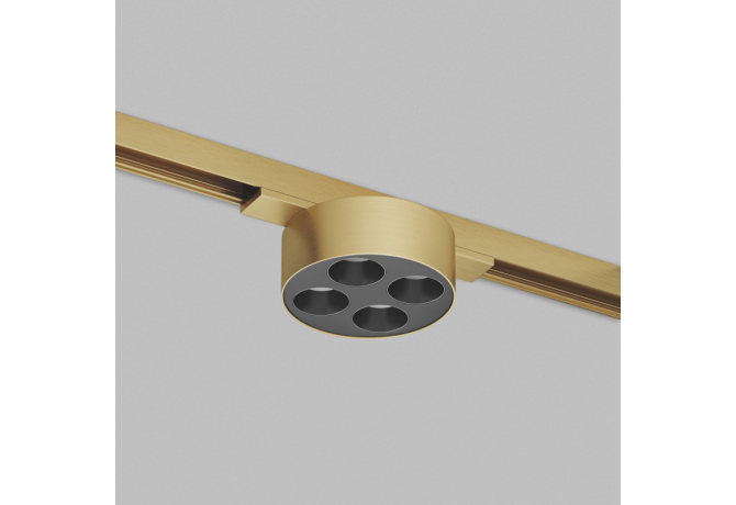 Светильник на шине Denkirs SHINE GRILL DK5772-SB